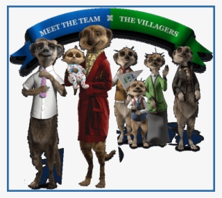 Meerkats Update - Compare The Meerkat Names
