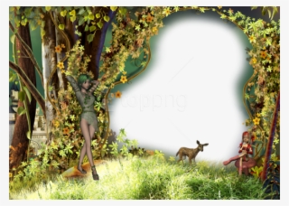 Free Png Best Stock Photos Kids Wild Transparent Photo - Wild Photo Frame