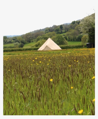 Chapel House Farm Campsite - Field