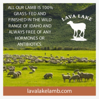 Po Box 2249, Hailey, Idaho - Grazing