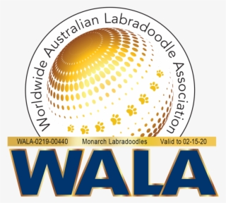 Monarch Wala Logo 0219 00440 - Labradoodle