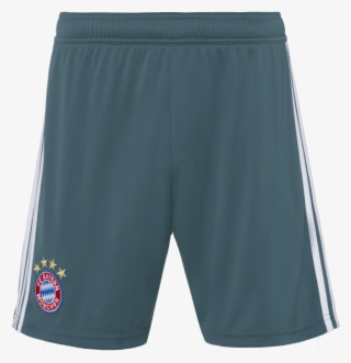 Board Short