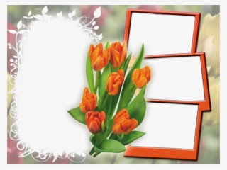 Marcos Photoscape Marcos Fhotoscape Marco Varias Fotos - Marcos Para Varias Fotos Png