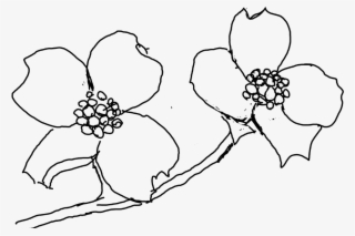 Dogwood Sticker - Line Art