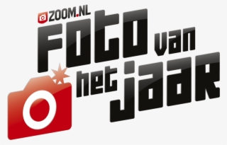 Total Downloads - Graphic Design