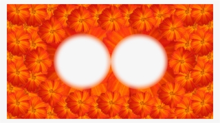 13 Molduras De Flores - Circle