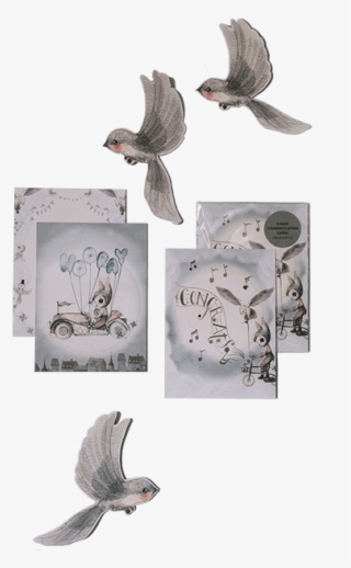 Mrs Mighetto 'land Of Birds' 2-pack Congratulations - Stock Dove