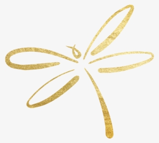 If You Aren't Living Your Best Life, You've Just Forgotten - Dragonfly