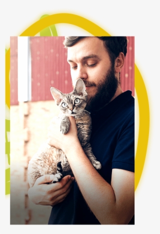 Many Of Our Teams Are Bilingual In Pet Baby Talk - Domestic Short-haired Cat