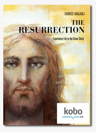 More Views - Book Cover