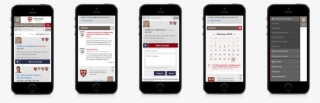 Harvard Alumni Portal