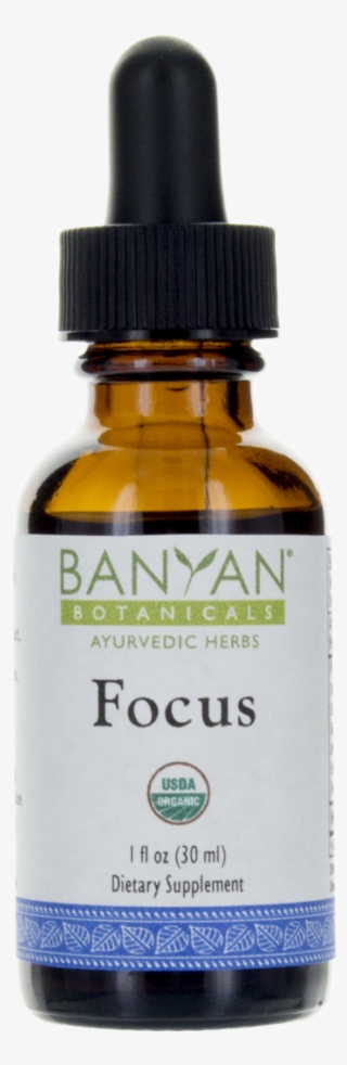 Buy Focus Extract Online - Iherb Argan Oil
