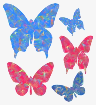 Photobucket - Swallowtail Butterfly