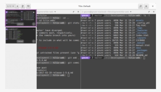 Tilix Menus