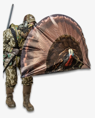 65159 - Domesticated Turkey