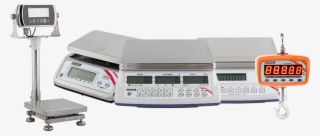 Scale