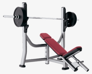 Incline Bench - Life Fitness Olympic Incline Bench