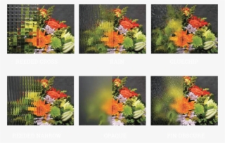 Privacy Glass Options - Tropical Milkweed