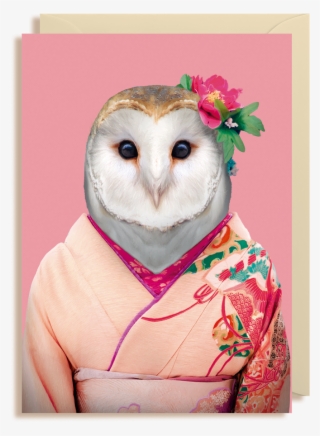 Zoo Portraits Owl