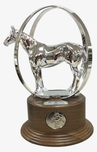 Aqha Reserve World Champion Duplicate Trophy - Aqha World Show Trophy