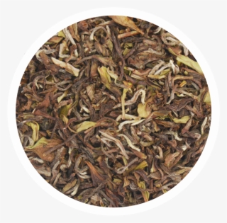 Avongrove Tea Estate Avongrove Tea Chaichun Tea - Biluochun