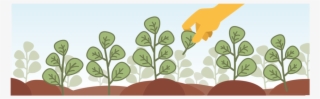 Hand Picked Harvest - Illustration