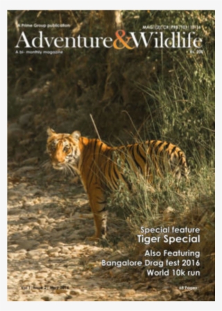 Magazine Cover Pictures - Bengal Tiger