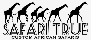 Logo - Safari True