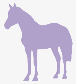 How Does Hippotherapy Help The Kiddos - Objetos Mirando A La Izquierda