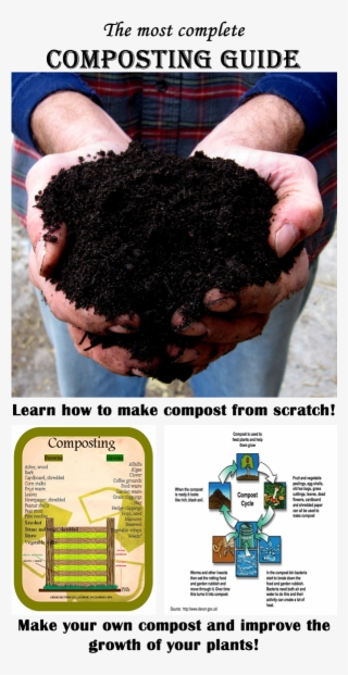 The Best Composting Guide Ever Learn Everything About - Composting