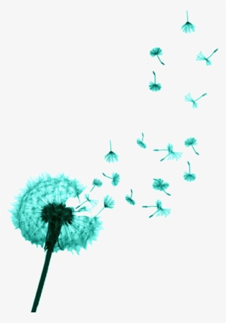 Themes By Mandrakescry - Wish Flower Black And White