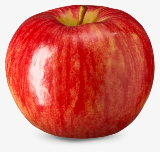 720 X 720 2 - Mcintosh