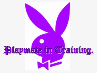 Playboy Bunny Playmate - Play Boy
