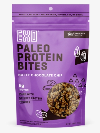 Nutty Chocolate Protein Bites - Chocolate