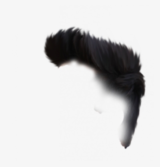 Hair Png - Caterpillar