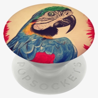 Macaw, Popsockets - Macaw