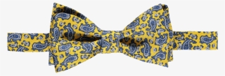 Silk Bow Tie - Paisley