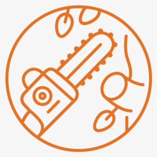 Tree Trimming Removal - Pan Am Logo Svg