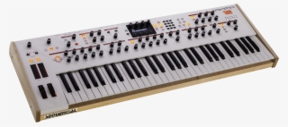 Prophet 12 Drum Machine, Electronic Music, Keyboard, - Prophet 12 Limited Edition