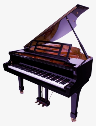 Music Classes - Feurich 162