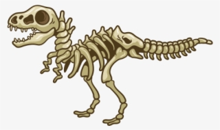 Dinosaur Skeleton Cartoon - Tyrannosaurus
