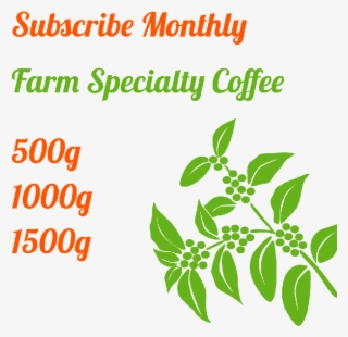 Subscribe Monthly Farm Specialty Coffee