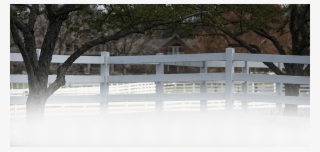 Split-rail Fence