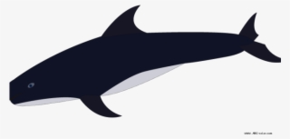 Killer Whale Clipart Transparent - Killer Whale