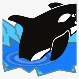 Orca Whale Clip Art Orca Whale Clipart At Getdrawings - Killer Whale