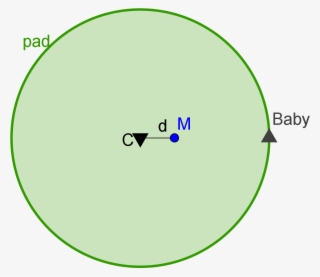 As Time Goes On, The Baby Moves Around The Edge, And - Circle