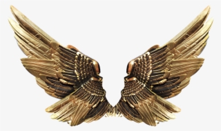 Wings, Gold, Fly - Gambar Sayap Emas Png