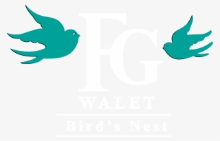Fg Walet Bird's Nest - Fg Walet Logo