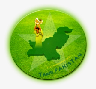 Ppcl International Series - Illustration