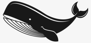 Big Image - Whales